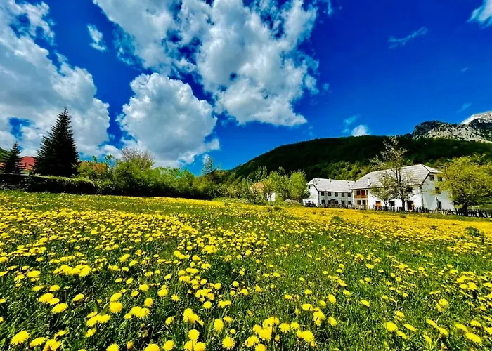 Hotel Mik Vermoshi Vermosh